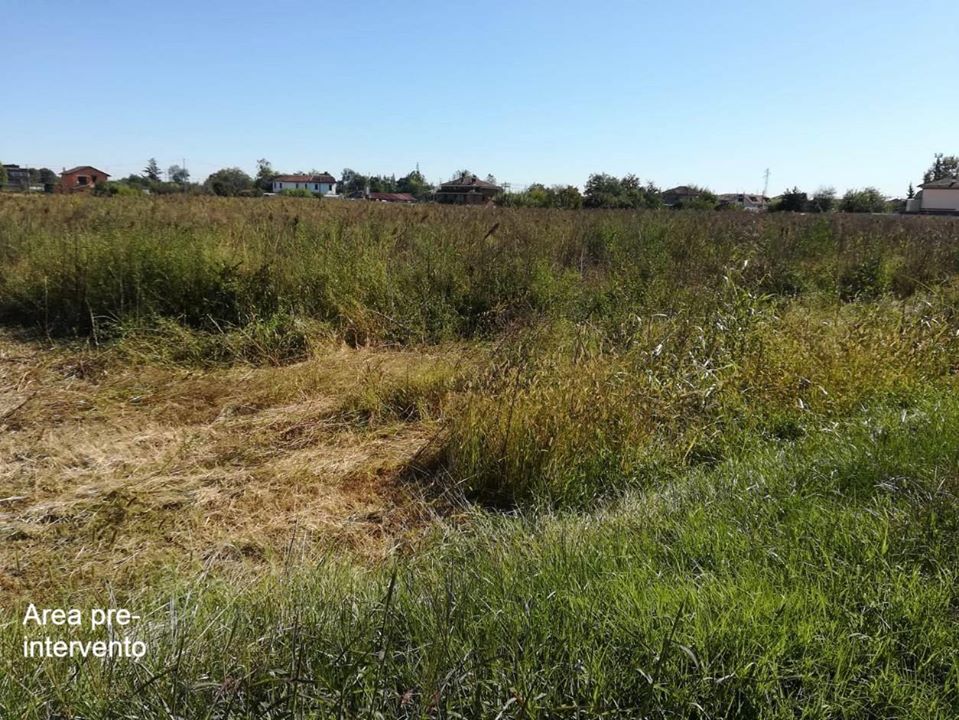 CARMAGNOLA – Via alla piantumazione di mille alberi in via Almese