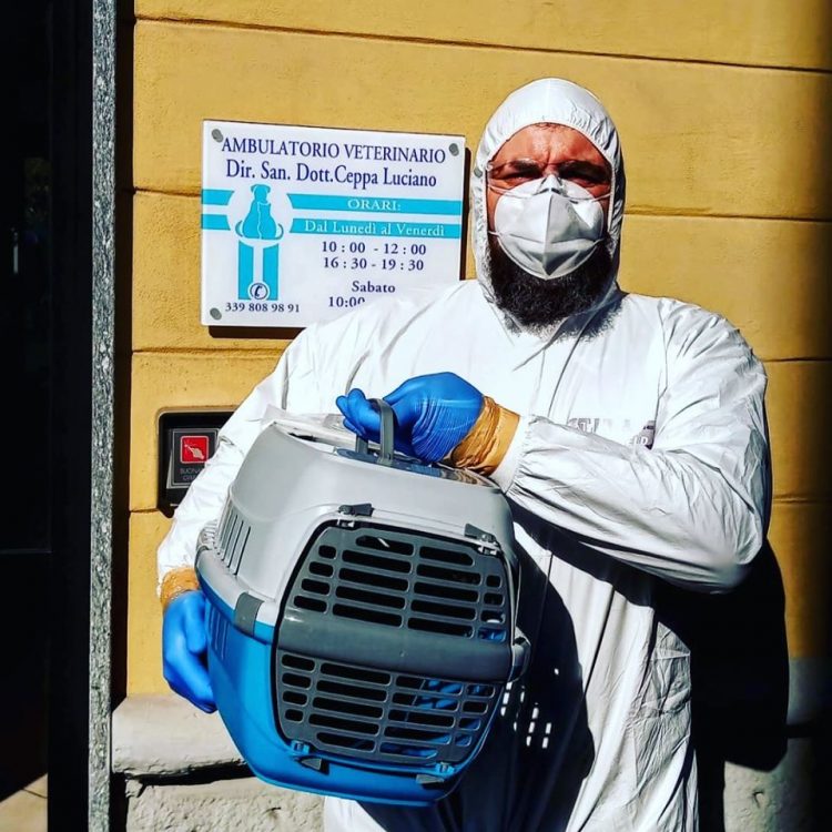 NICHELINO – Il gattino sta male ma i padroni sono contagiati: i volontari della croce rossa lo salvano