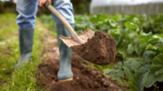 LAVORO – La Regione stanzia cento mila euro circa per l’agricolutura