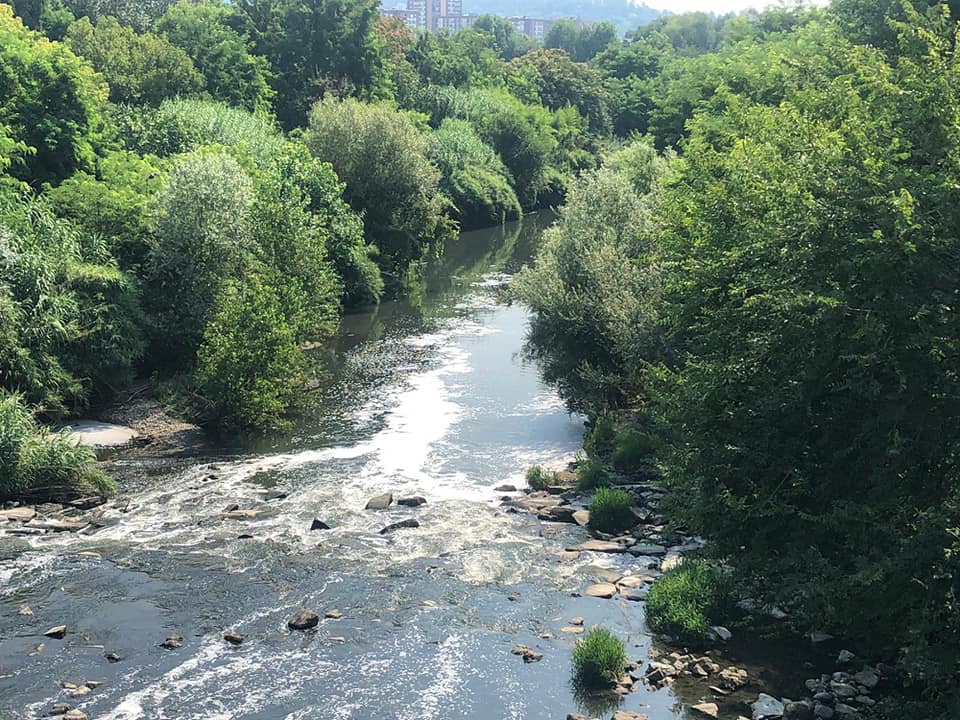 NICHELINO – Inquinamento nel Sangone: l’allarme del Comune