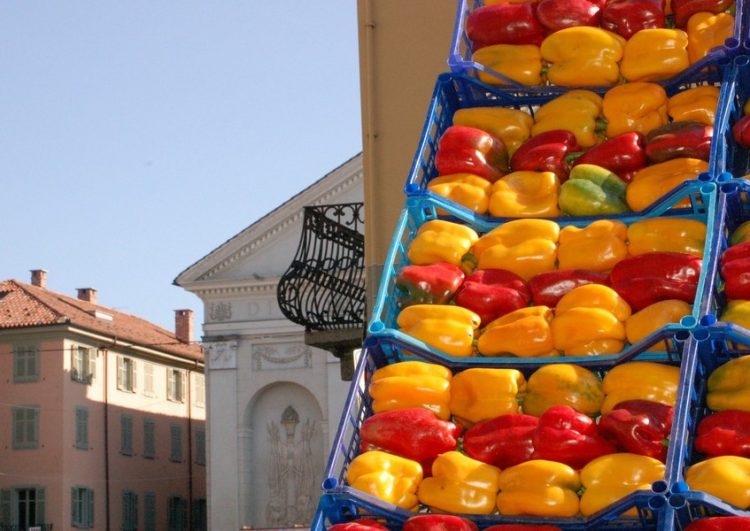 CARMAGNOLA – Alla fiera del peperone presentazione del libro sulla vitamina c anti tumori