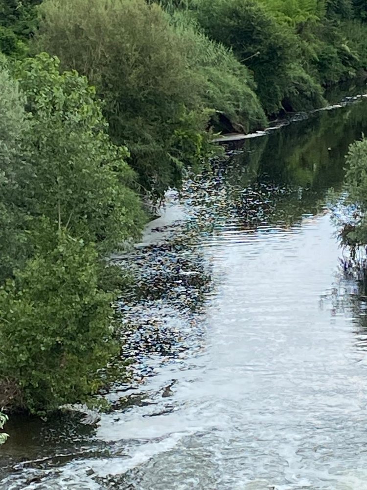 MONCALIERI – Continua l’allerta sul Sangone: il Comune vieta la pesca e l’utilizzo delle acque per scopi irrigui