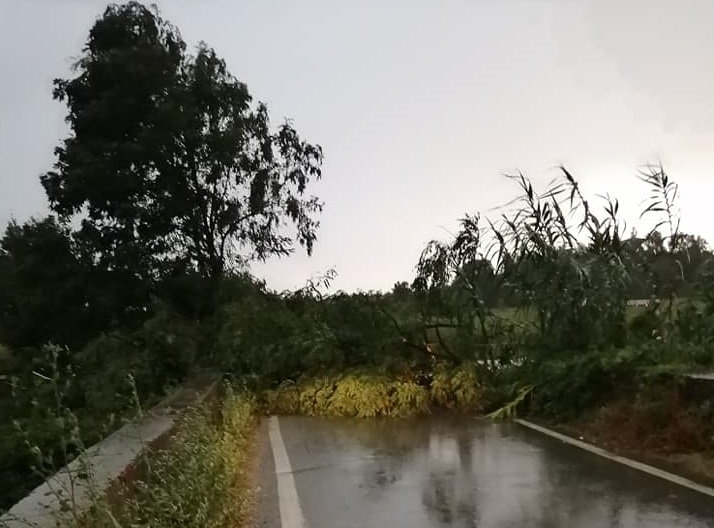 MALTEMPO – Poirino e Villastellone nella morsa di acqua e vento