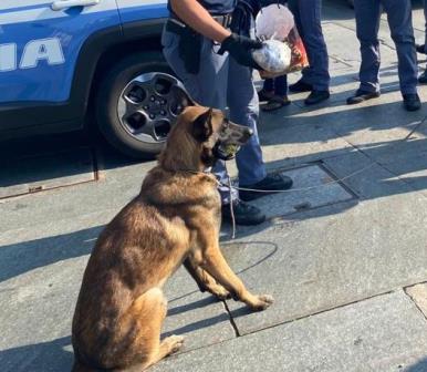 Polizia: controlli straordinari del territorio