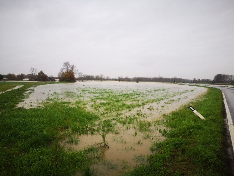 Crisi idrica: la Città Metropolitana di Torino pensa a misure per tutelare il delta del Po