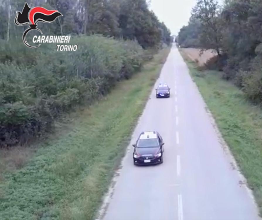 STUPINIGI – La coltivazione di marijuana nel parco della palazzina di caccia