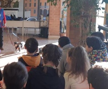 NICHELINO – Percorso formativo tra scuole primarie e gli animali