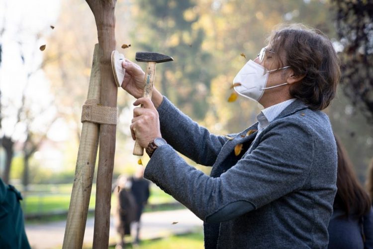 NICHELINO – Un albero per ogni vittima durante il lockdown