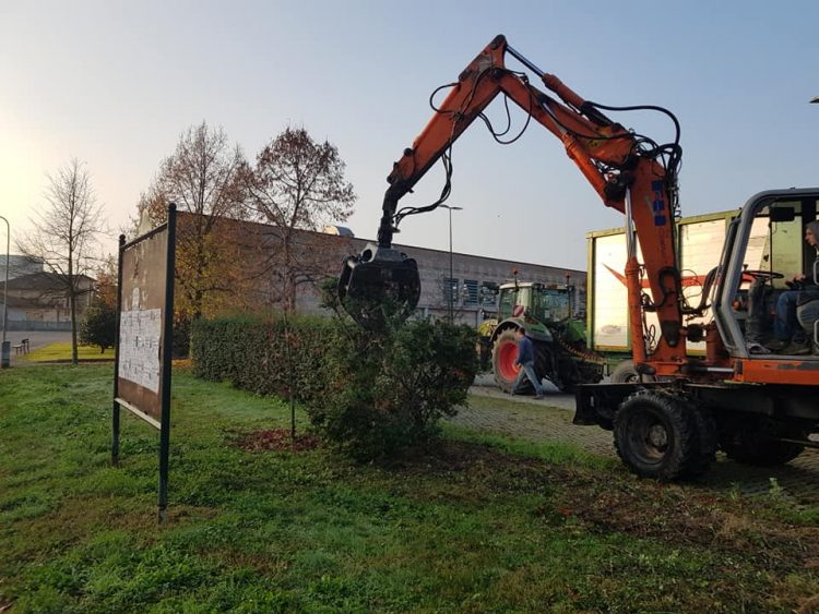 CARMAGNOLA – Riqualificazione ambientale: via alberi malati e riposizionamento siepi