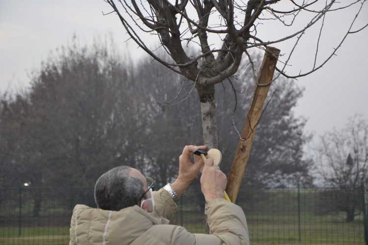 NICHELINO – Cerimonia di intitolazione degli alberi piantati per le vittime del lockdown