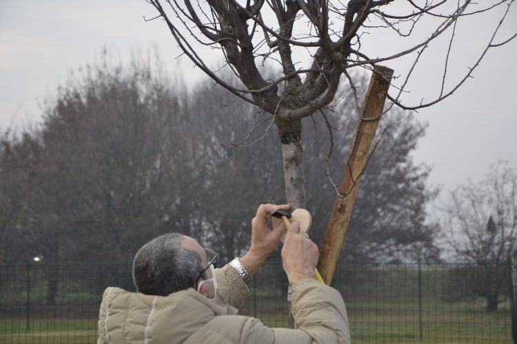 NICHELINO – Cerimonia di intitolazione degli alberi piantati per le vittime del lockdown