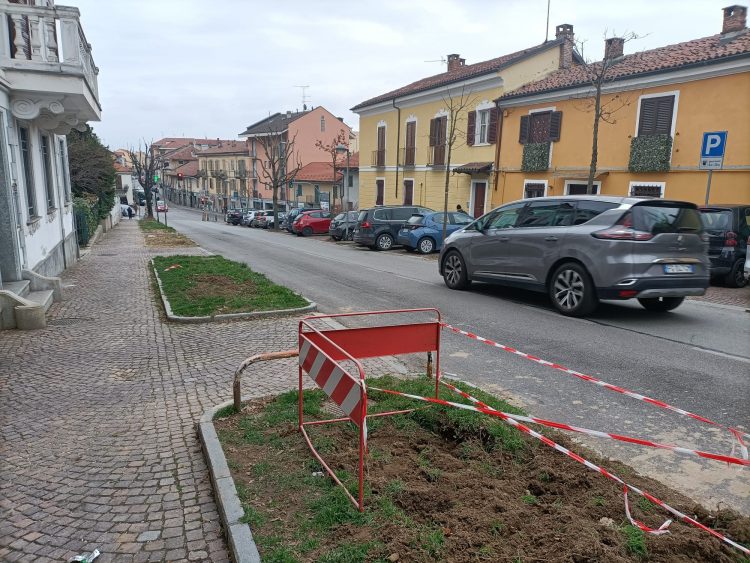 MONCALIERI – Le associazioni ambientaliste contro l’abbattimento degli alberi