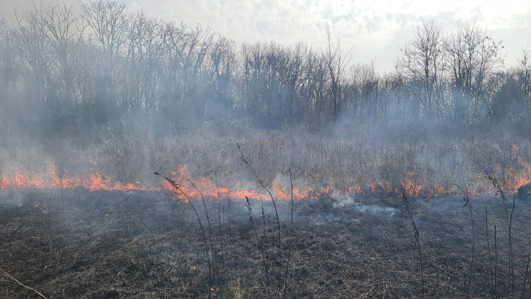 TROFARELLO – Incendio vicino al cimitero. Per il sindaco è doloso