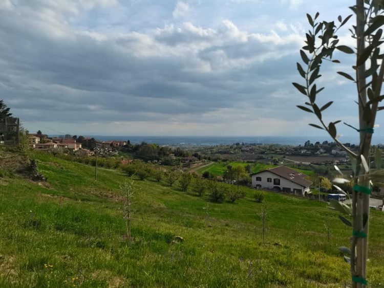 PECETTO – Vetrine colorate di rosa per il passaggio del Giro