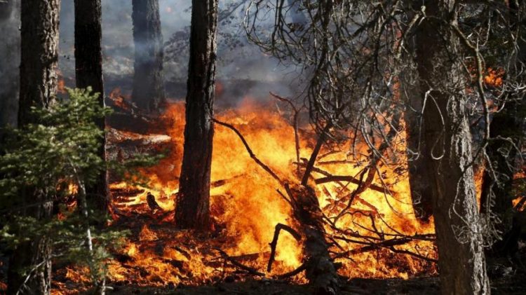 REGIONE – Da domenica in vigore la massima pericolosità per gli incendi boschivi