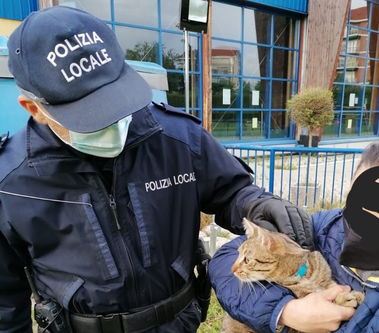 NICHELINO – Gattino impigliato nella rete metallica: salvato dalla polizia locale