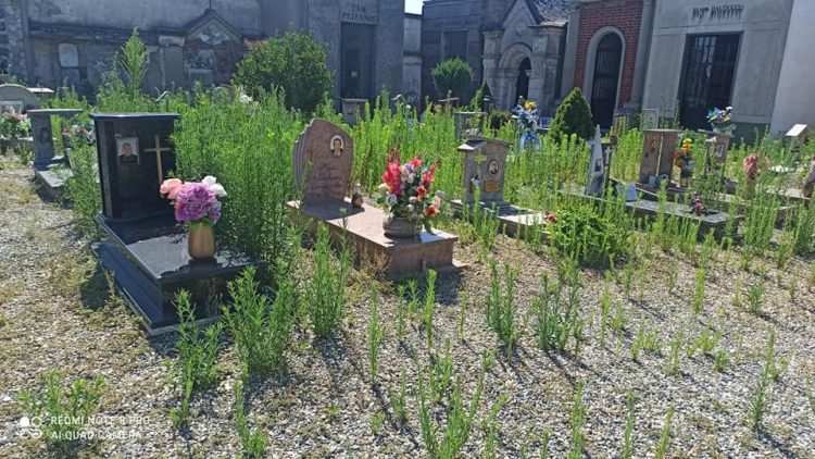 NICHELINO – Erba alta nel cimitero di Stupinigi
