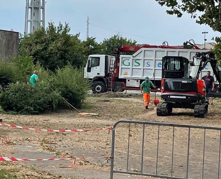 NICHELINO – Una malattia colpisce gli alberi del cimitero