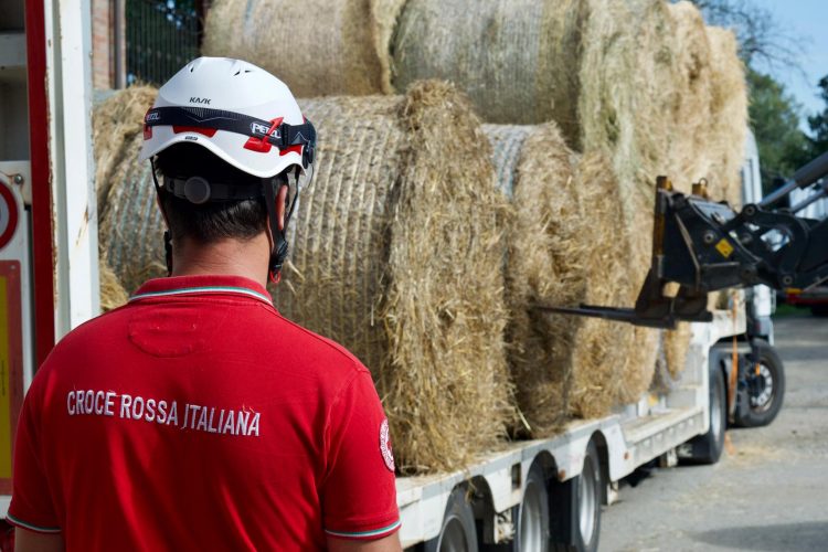 MONCALIERI – Volontari della Croce Rossa in Sardegna per portare fieno agli allevatori colpiti dagli incendi