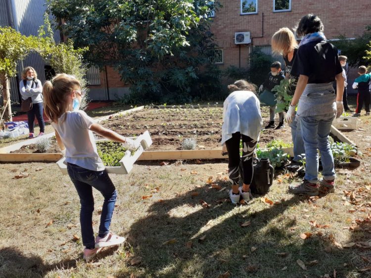 MONCALIERI – Orto didattico alla scuola Emma Strada