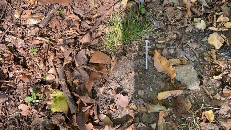 NICHELINO – Spuntano siringhe nei giardini