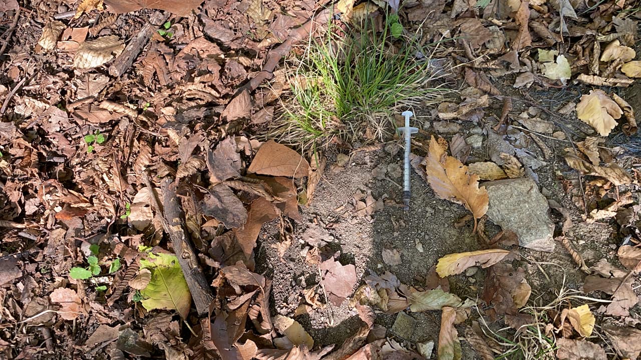 NICHELINO – Spuntano siringhe nei giardini