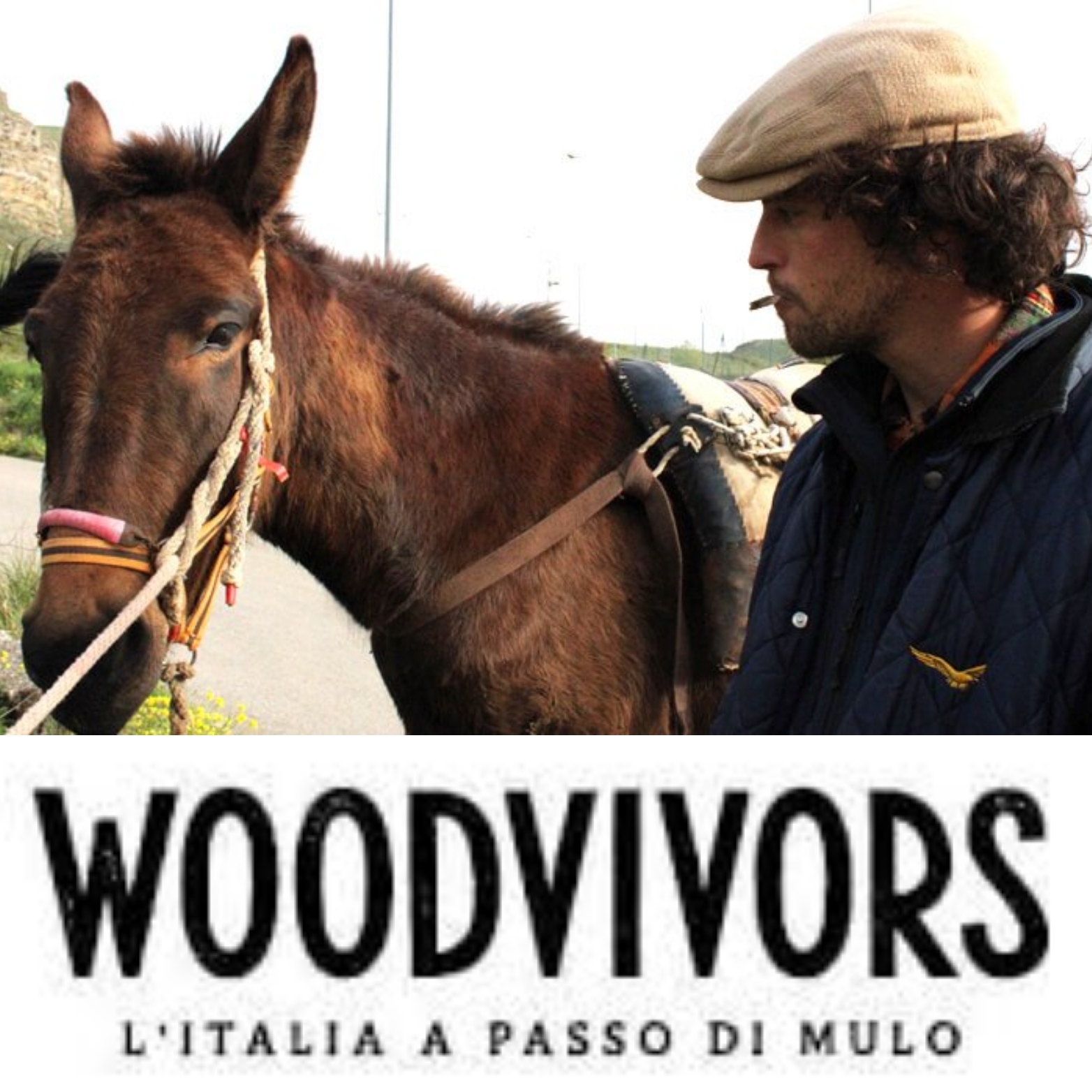 Woodvivors fa tappa a Carmagnola: oggi alle ore 18 al cinema Elios