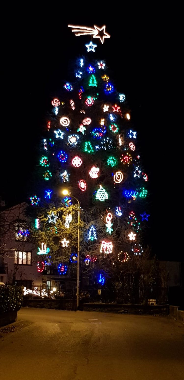 Sulla collina di Moncalieri l’albero Zampieri illumina le festività natalizie