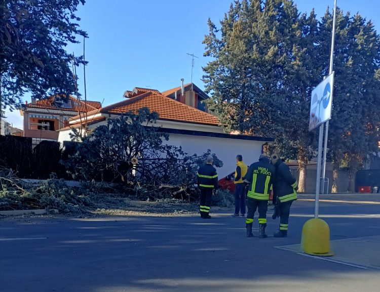 MALTEMPO – Vento forte in provincia: a Nichelino alberi caduti e un ferito