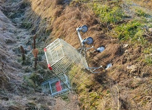 CARMAGNOLA – Carrelli della spesa buttati nei fossati: la denuncia dell’assessore Pampaloni