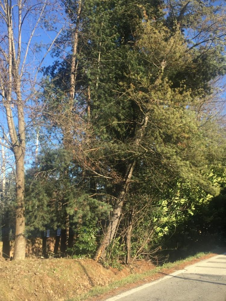 METEO – Torna il vento forte: Arpa allerta la popolazione