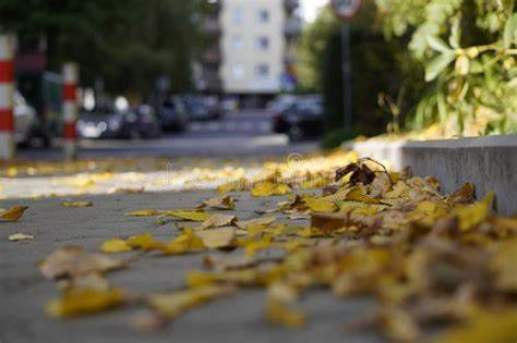 VILLASTELLONE – Due giorni di spazzamento straordinario per l’accumulo di foglie