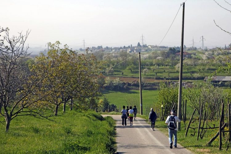 PECETTO – La camminata enogastronomica apre la kermesse ‘Dal Fiore al Frutto’