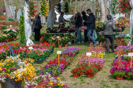 CARMAGNOLA – Torna Ortoflora ad inizio aprile