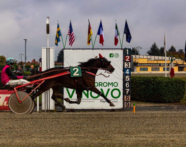 VINOVO – I risultati delle gare all’ippodromo di domenica