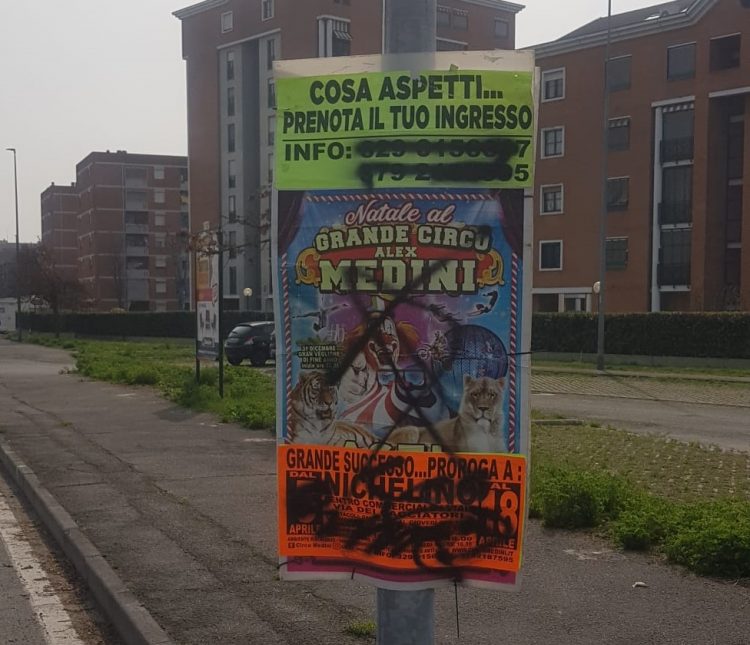 NICHELINO – Nuovi atti vandalici a danno del circo Alex Medini