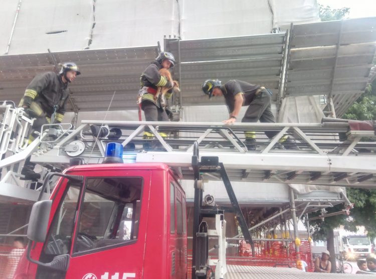 CARMAGNOLA – Cane legato sul balcone liberato dai vigili del fuoco