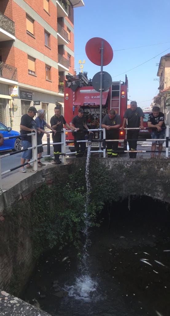 CARMAGNOLA – Torrente del mulino in secca, pesci salvati dai vigili del fuoco