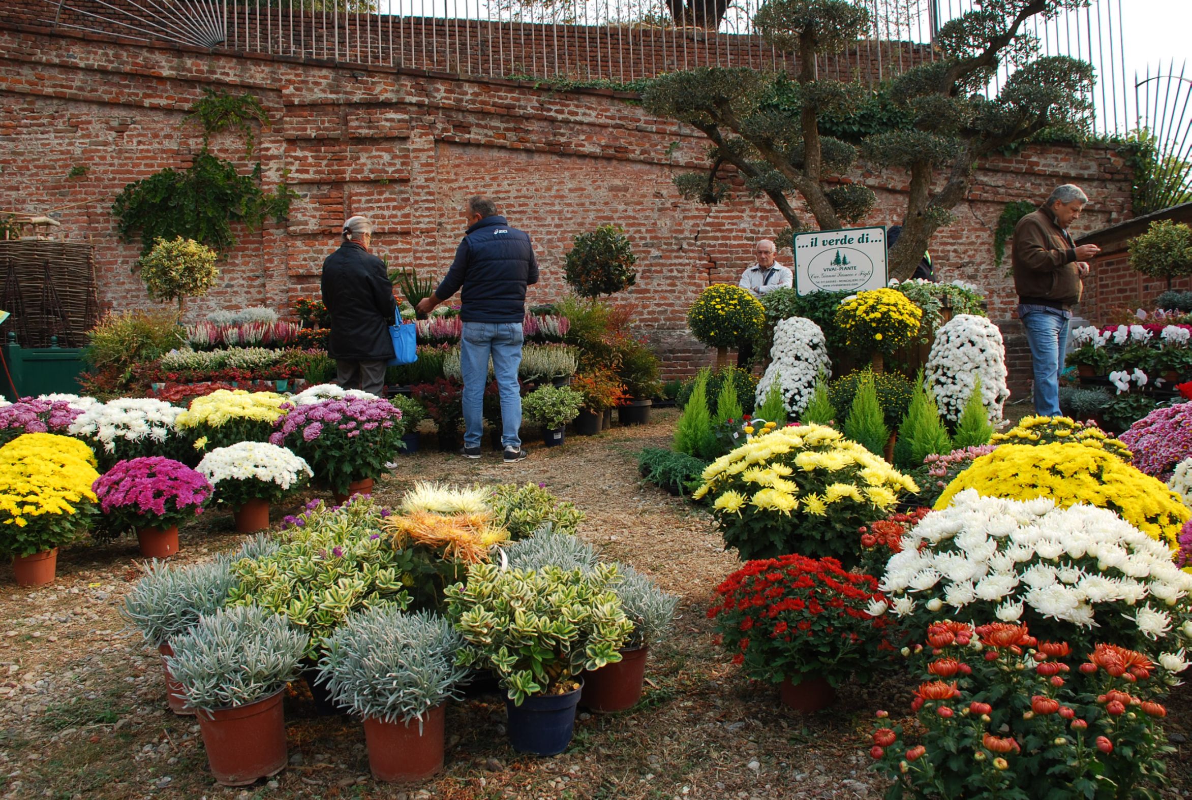 MONCALIERI – Fiorile spostato il 9-10 novembre