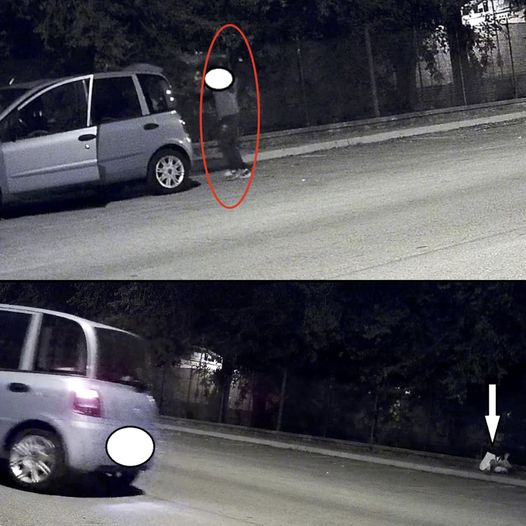 MONCALIERI – Abbandona rifiuti e la fototrappola lo riprende: 600 euro di multa