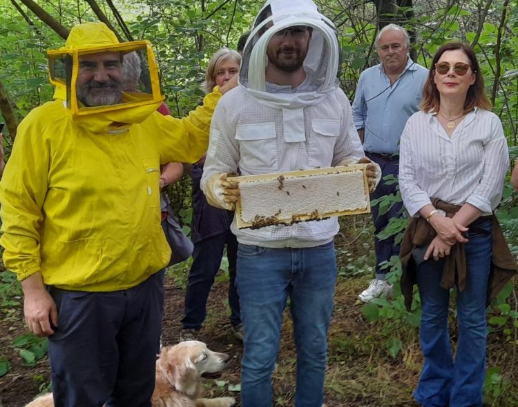 MONCALIERI – Buone risposte dall’apiario del parco del Castello