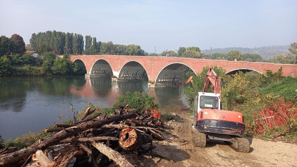 MONCALIERI – Rimozione di tronchi dal Po, lungo i ponti