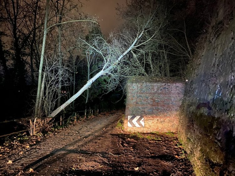 MONCALIERI – Il vento forte piega un albero in viale del Parco