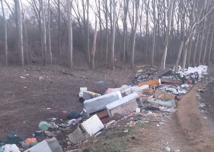 LA LOGGIA – Maxi discarica lungo l’area del Po