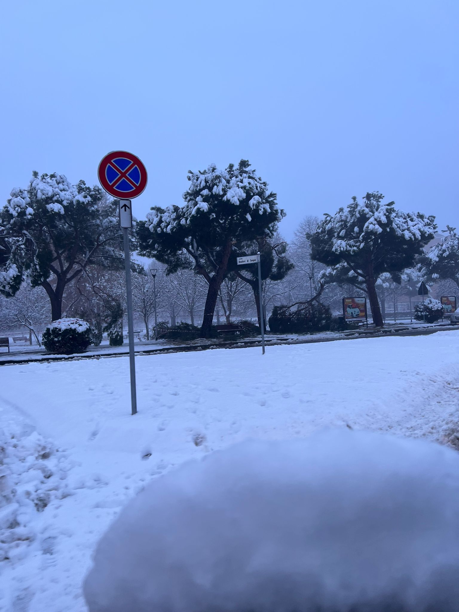 NICHELINO – Revocata l’ordinanza di chiusura del parco di via Trento