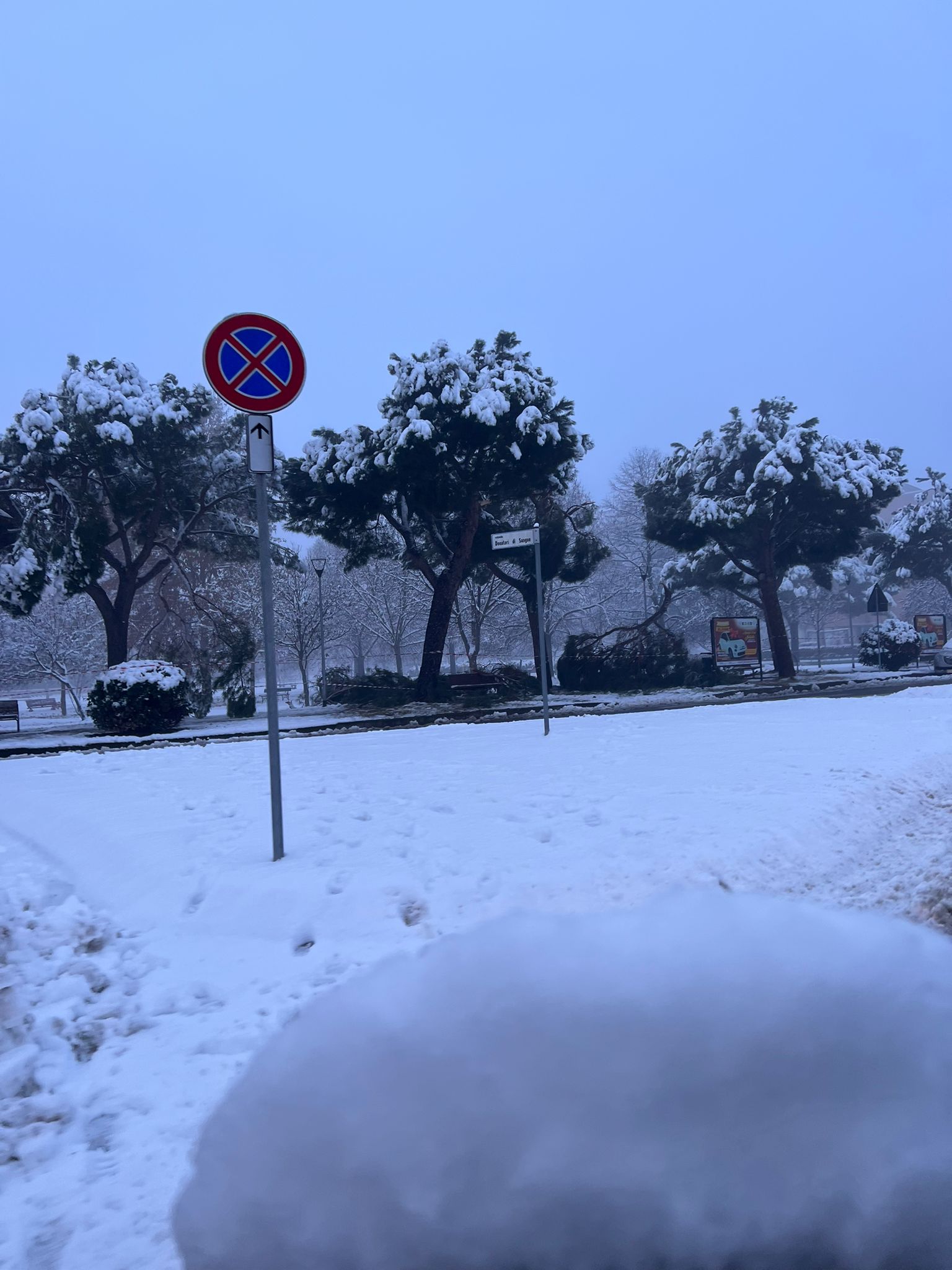 NICHELINO – Revocata l’ordinanza di chiusura del parco di via Trento