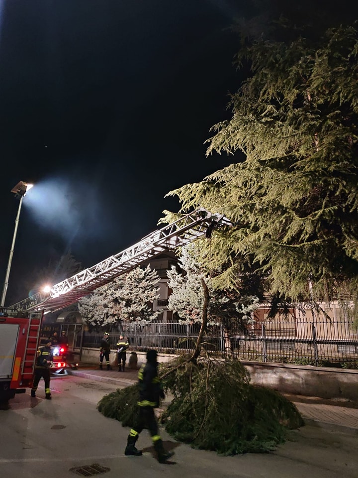 NICHELINO – Alberi e rami pericolanti al Conventino di via San Matteo