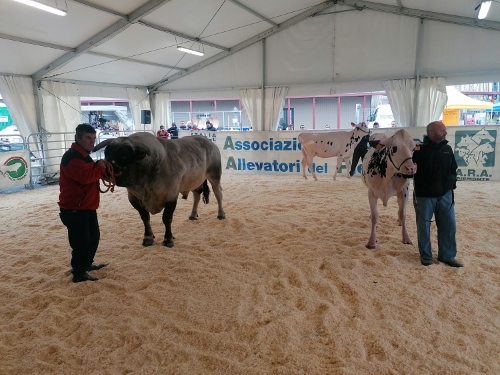 CARMAGNOLA – Si avvicina la fiera di Primavera