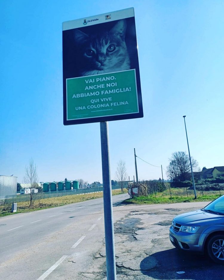 NICHELINO – Cartelli stradali per difendere le colonie feline
