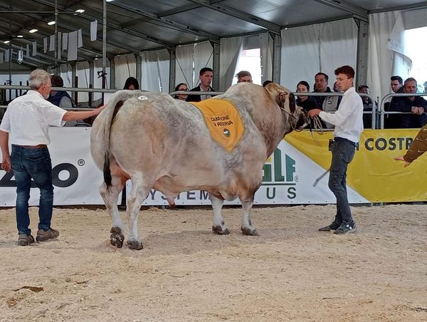 POIRINO – Le aziende agricole del paese fanno man bassa di premi alla fiera di Carmagnola